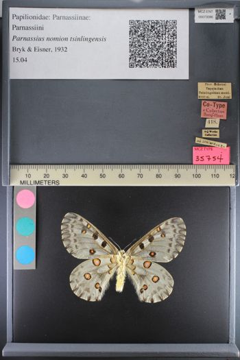 Media type: image;   Entomology 73086